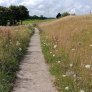 KoMex® Naturel à Wieringerwerf