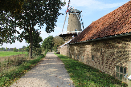 BIO Wassergebundene wegedecken