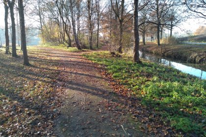 KoMex® BIO Natuurtuin Rijswijk