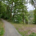 DurEko-mix® im Esterfelder Forst