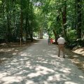 Hasselt Provinciaal Domein Nieuwenhoven KoMex BIO naturel (8)