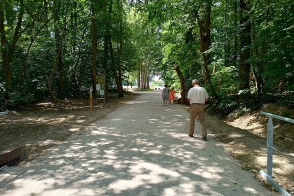 Hasselt Provinciaal Domein Nieuwenhoven KoMex BIO naturel (8)