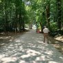 Hasselt Provinciaal Domein Nieuwenhoven KoMex BIO naturel (8)