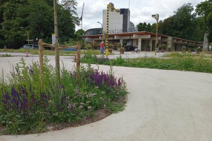 Parking Jardin botanique de Meise juin 2025