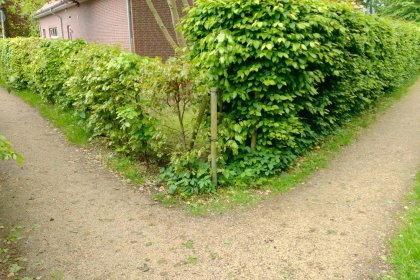 natürliche wassergebundene wegedecke