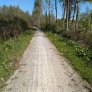 Fietspad biologische halfverharding Nijkerk