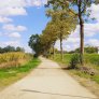 Komex Bio Naturel piste cyclable d'Arnsberg aéroport d'Arnsberg-Menden Revêtements stabilisés écologiques Koers