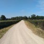 KoMex BIO Naturel Landwirtschaftsweg Laag Zuthem