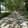 KoMex BIO Naturel Landwirtschaftsweg Laag Zuthem